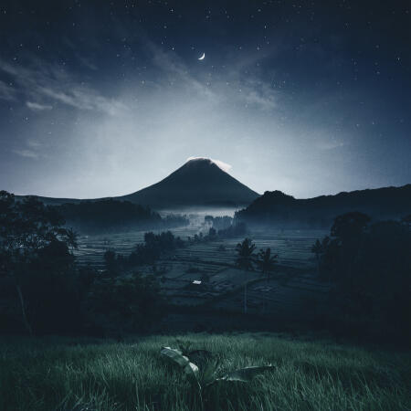 Untitled Untitled